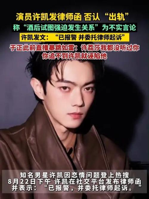 许凯报警并委托律师起诉，事件揭秘