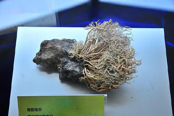二手平台售卖南极地衣 1百年长1毫米