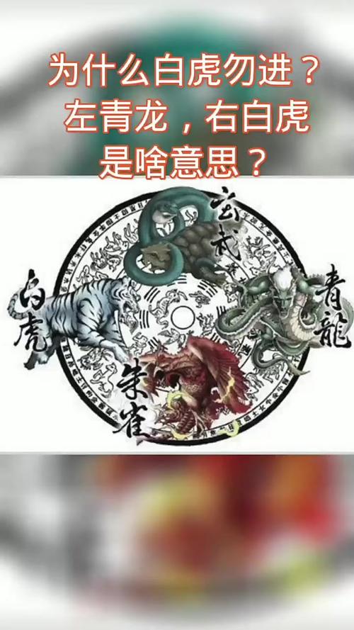 亚宠展现“左青龙右白虎”文身犬