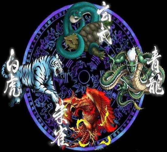 亚宠展现“左青龙右白虎”文身犬