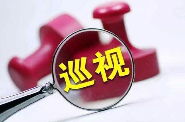 村支书诬告副局长遭拘留，巡视组揭示真相