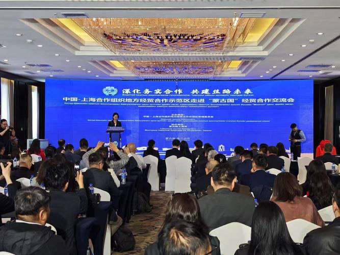 共同擘画上合组织发展新蓝图