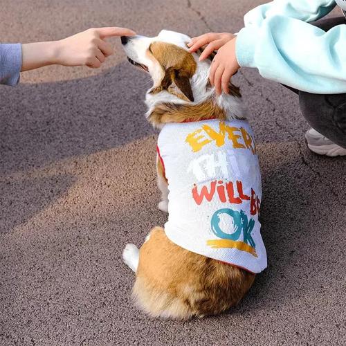 医生谈宠物防晒服走红