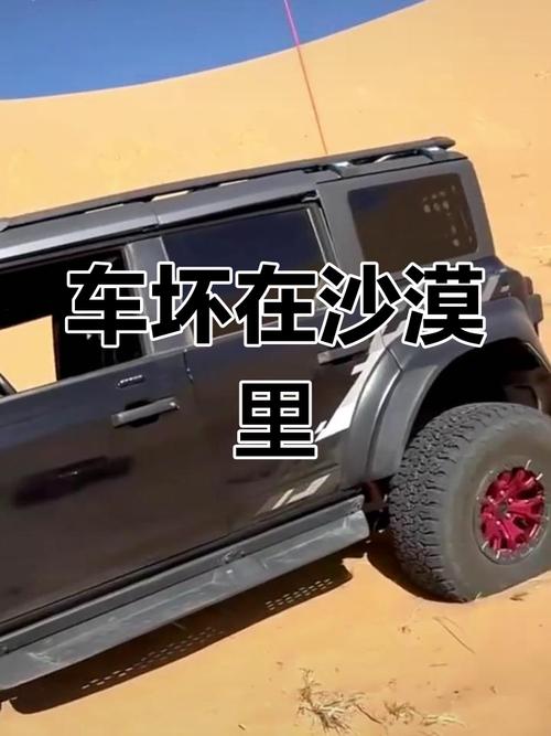 50万粉丝博主沙漠越野时翻车去世