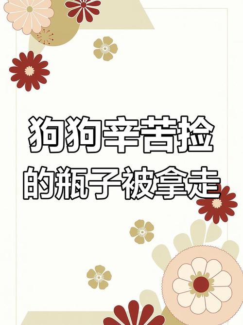 小狗五年存款之路，捡瓶攒下万元存款的故事