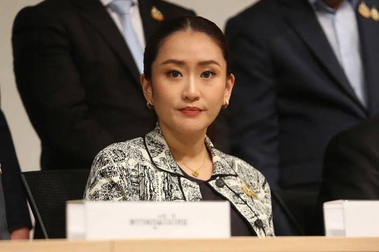 为泰党提名泰国新总理人选