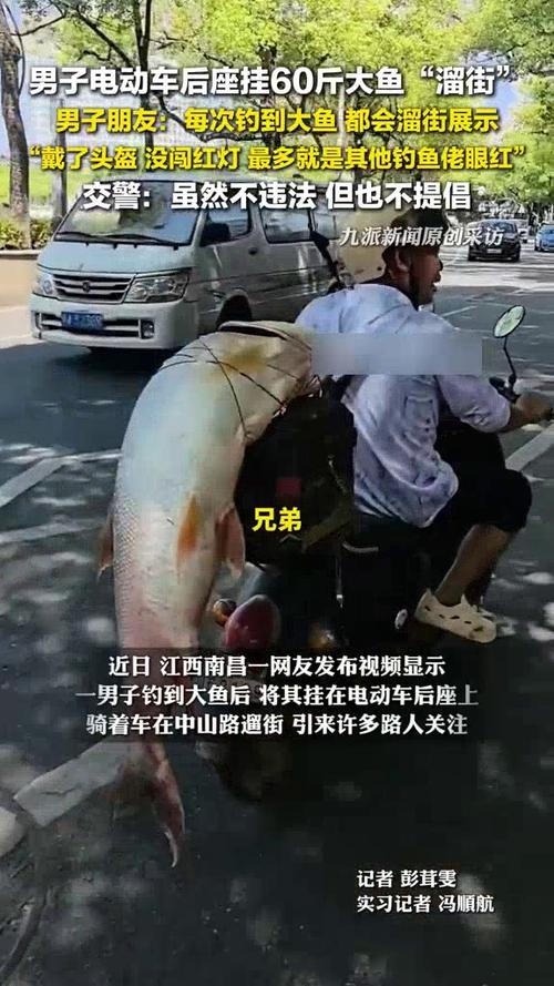 男子街头炫耀巨型鱼获，电动车后绑60斤大鱼遛街