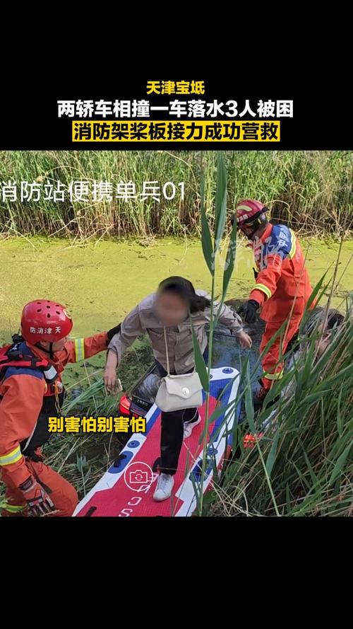 两游客英勇救出落入水库的车内母子