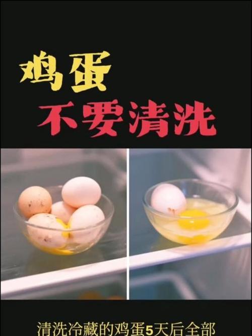 鸡蛋储存前的清洗误区，无需预先清洗
