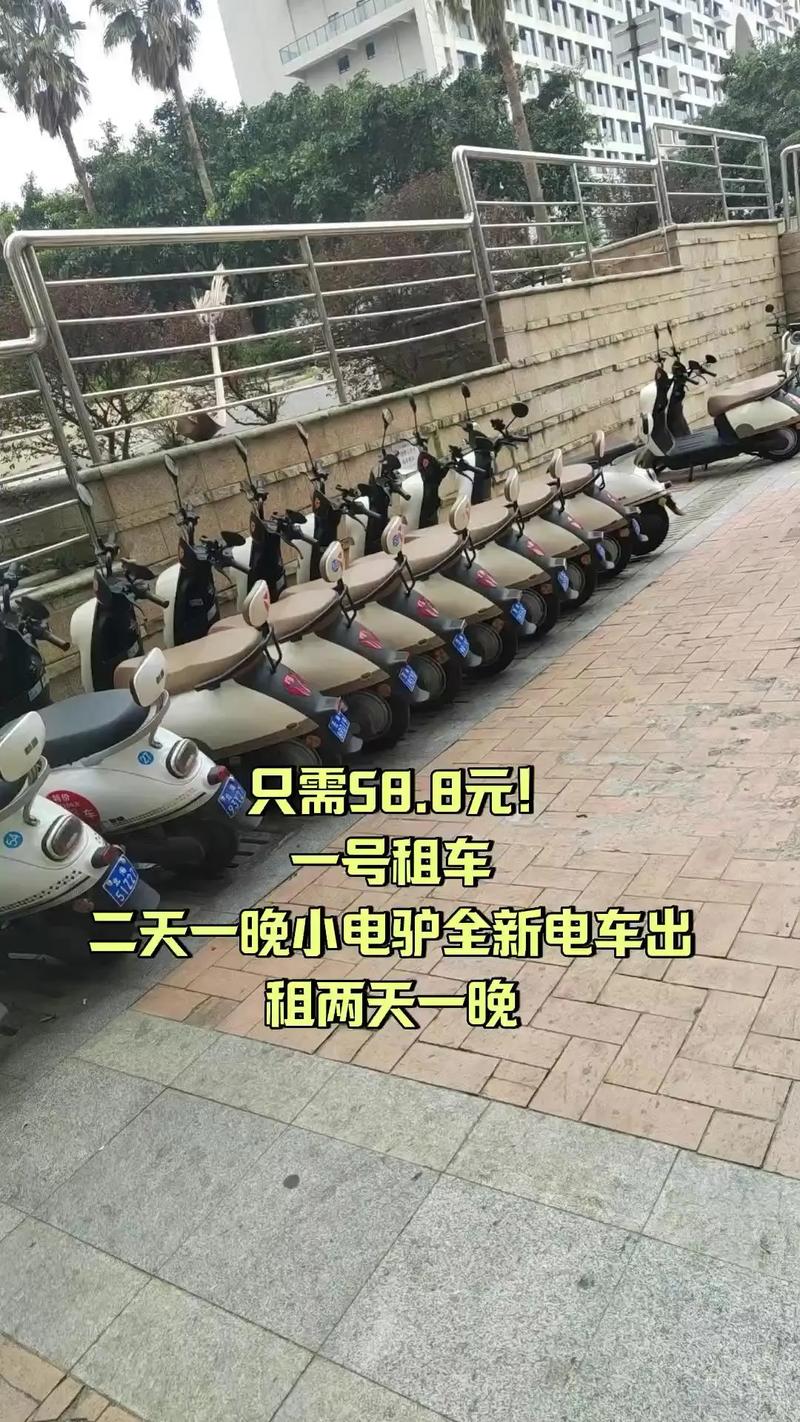 武大电动车租价36元1小时 游客：天价