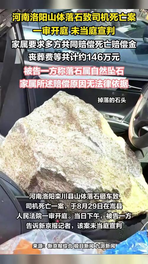 洛阳落石砸车致死案一审未当庭宣判，判决结果待公布