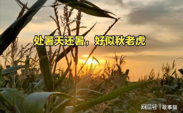 南方秋老虎真要被赶跑了吗