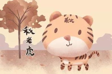 南方秋老虎即将退散？天气变化解析