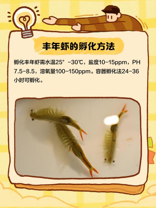 新疆沙漠首次发现盐水丰年虾