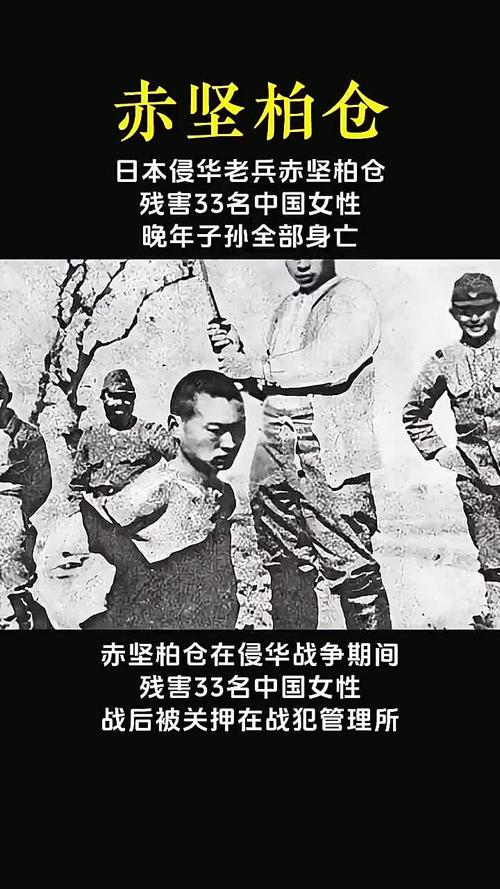 日本学者视角下的中国抗战历史真相揭秘