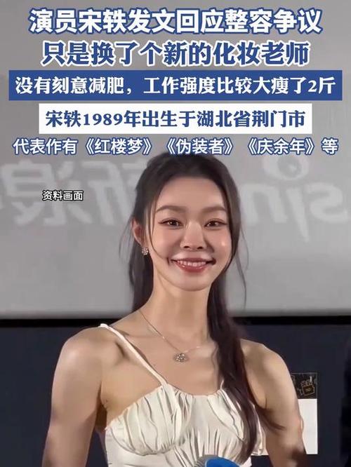 演员宋轶发文回应整容争议
