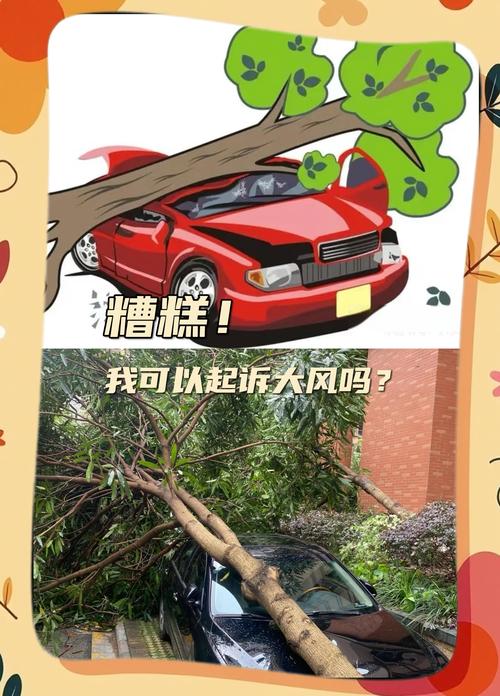 古树砸扁宝马事件，车主与林业局的纷争标题