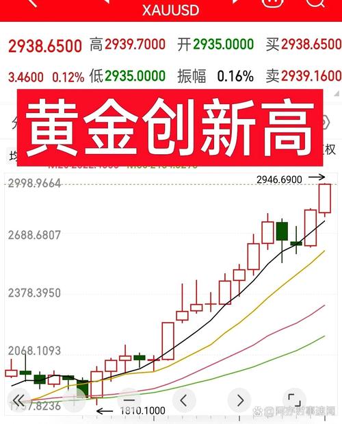 金价创历史新高 黄金股全线飙涨