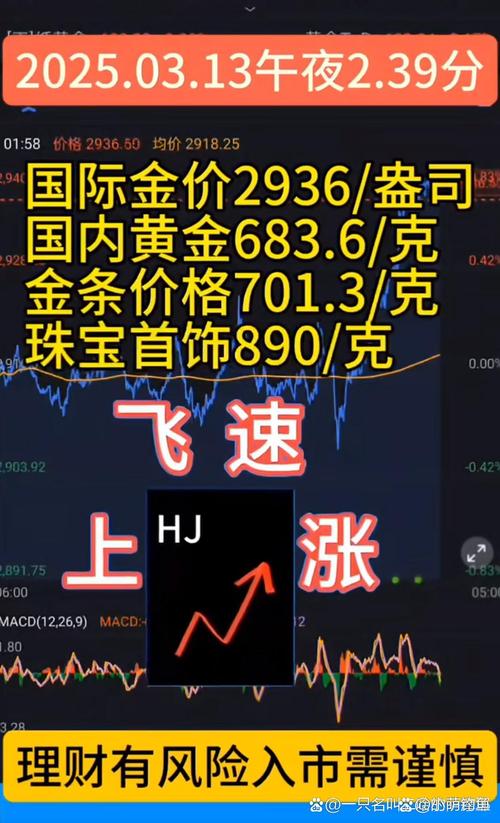 金价创历史新高 黄金股全线飙涨