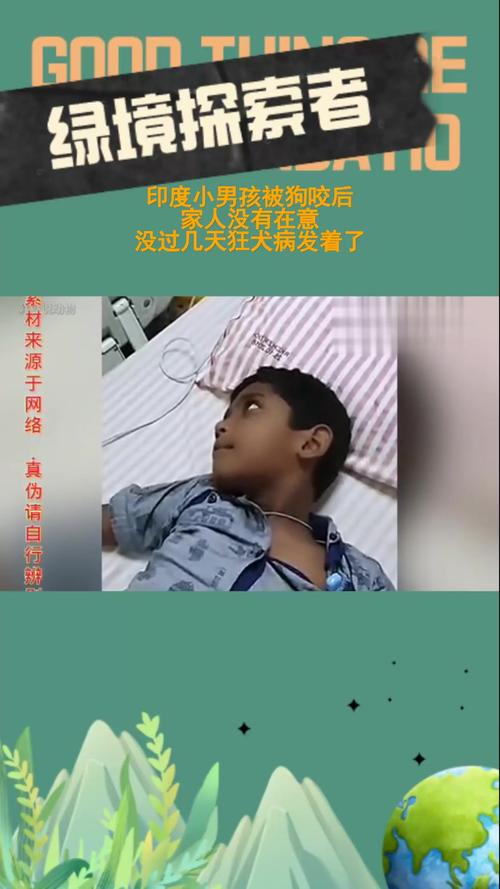 印度一医院2名新生儿被老鼠咬伤