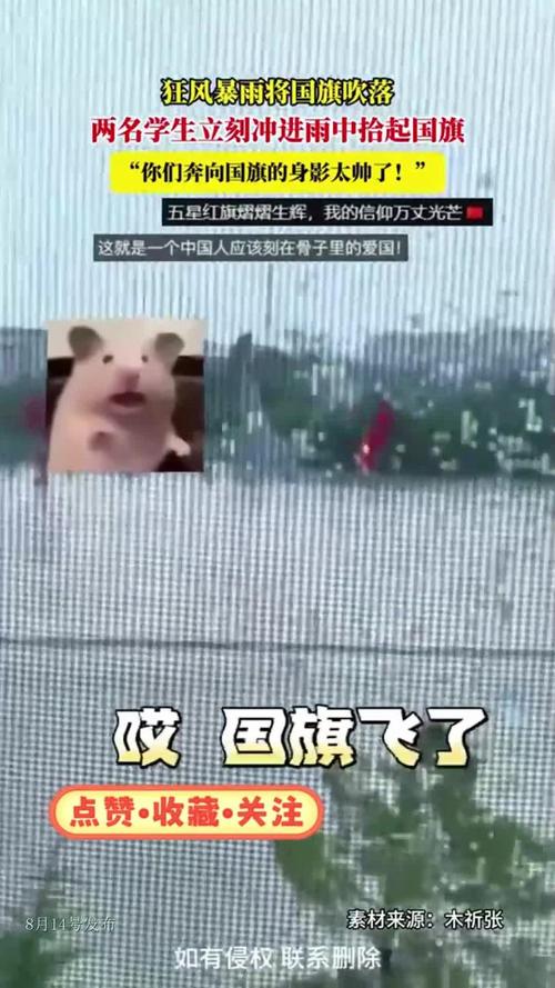少年暴雨中收起国旗