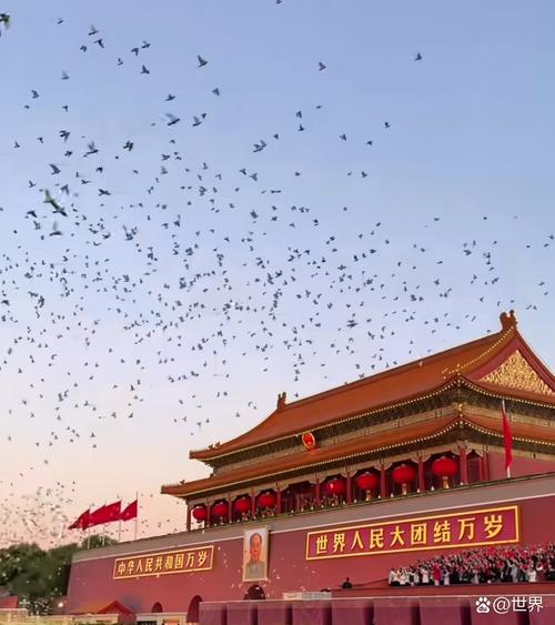 和平鸽参与阅兵后平安归家
