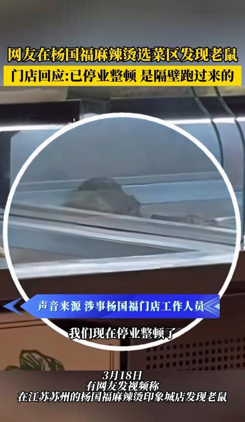 当事人回应白菜里发现老鼠窝