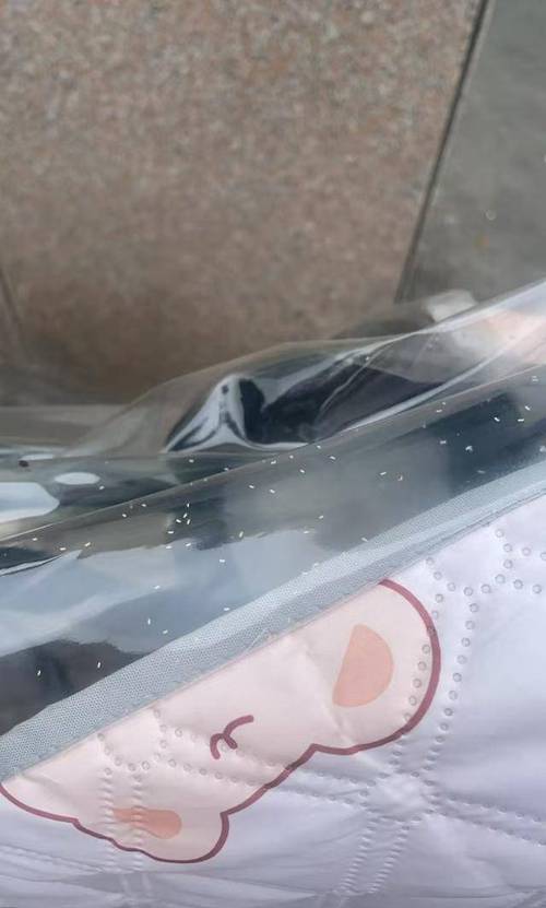河南多地遭“小白虫”侵袭