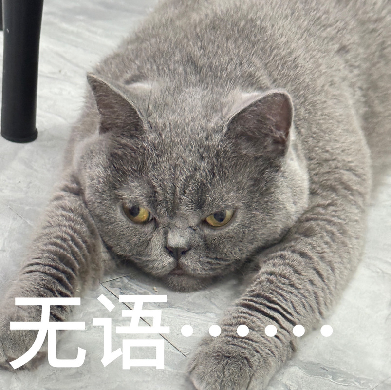 无语哥团播之旅的艰辛之路