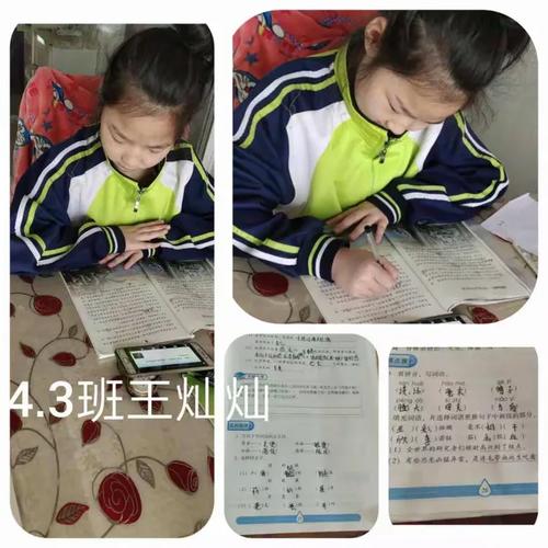 韩国中小学班级人数为何不减反增