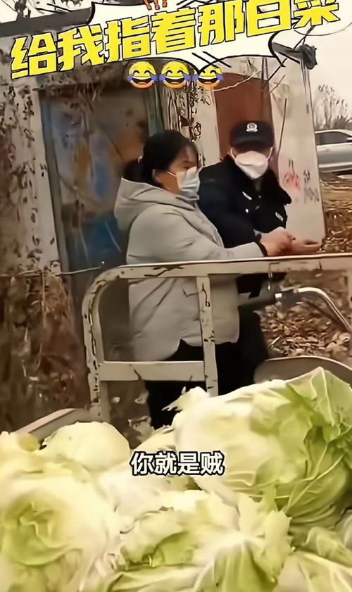 当事人回应白菜里发现老鼠窝