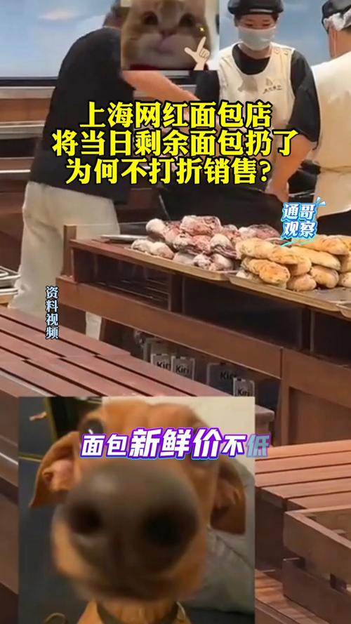 上海网红面包店当天剩余面包全部销毁引热议