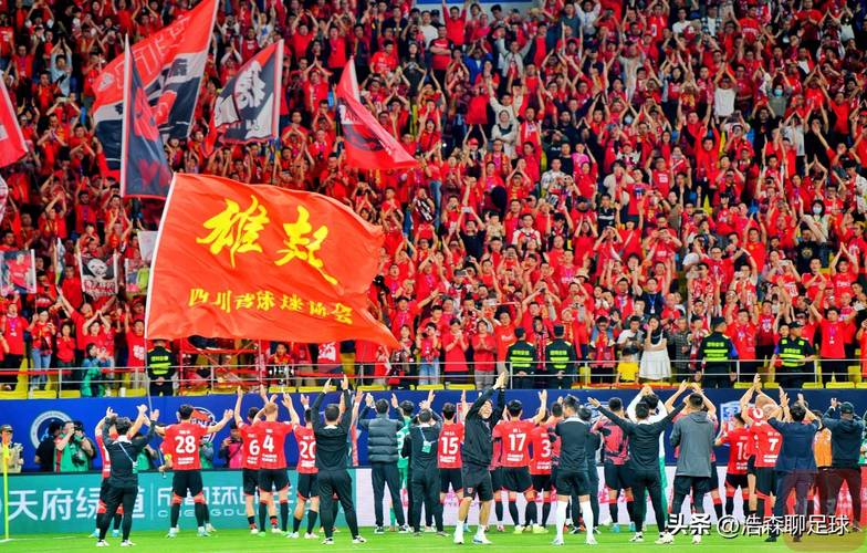 蓉城1-2被蔚山逆转 无缘亚冠开门红