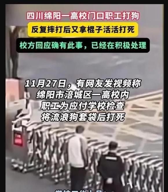 学校保安打死校园流浪狗？校长回应