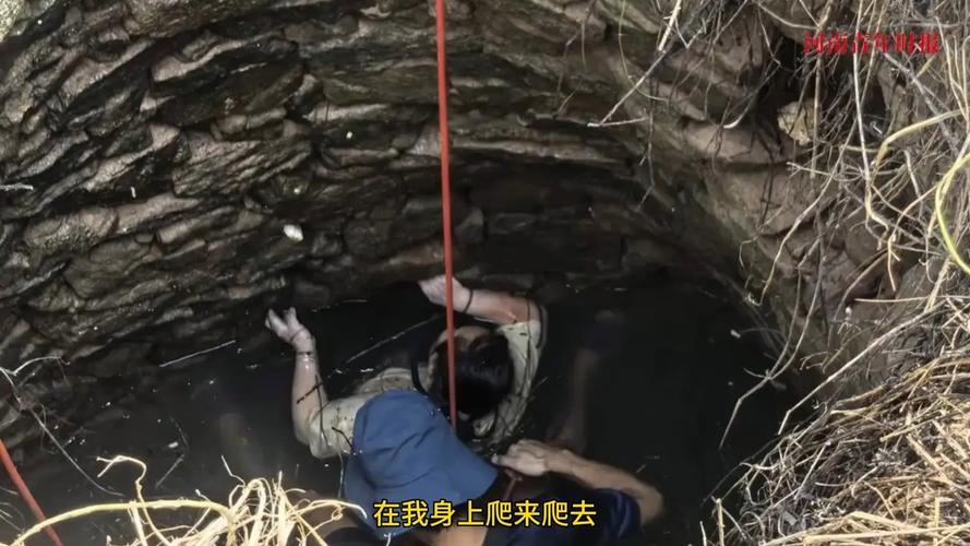 女子误坠深井又遭蛇咬 54小时后获救