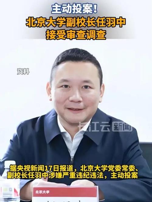 副校长任羽中涉嫌违纪被查，北京大学作出回应