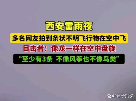 女子拍闪电意外拍到不明黑影