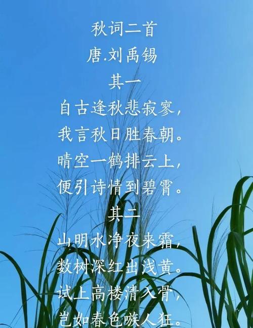 金秋里 听历史的声息拂过耳畔