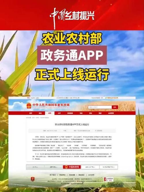 “中国三农”APP系假冒