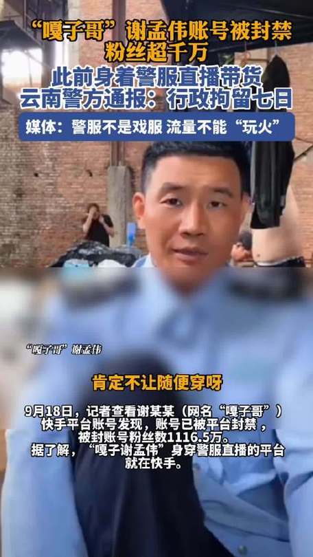 嘎子哥电影换人重拍风波
