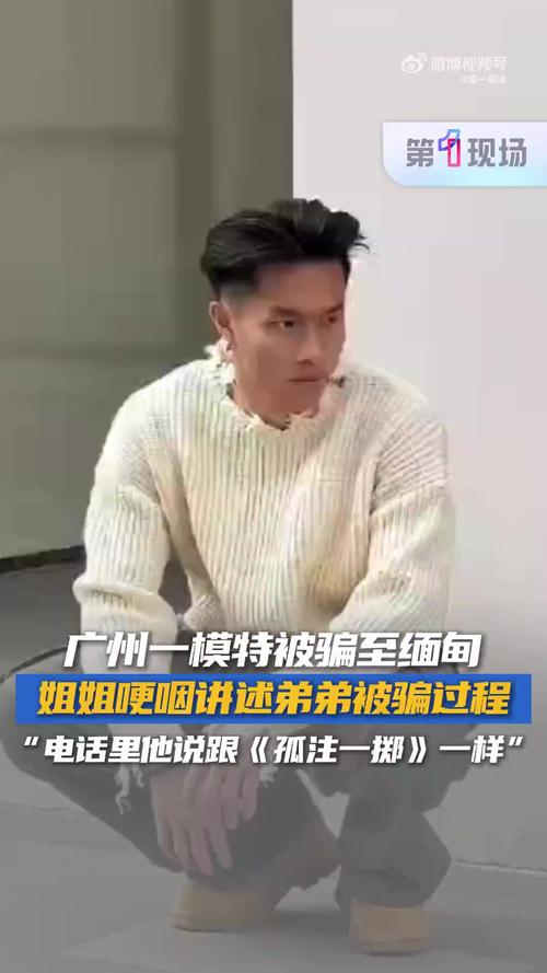 张云龙诱骗多人至柬埔寨电诈园区事件揭秘