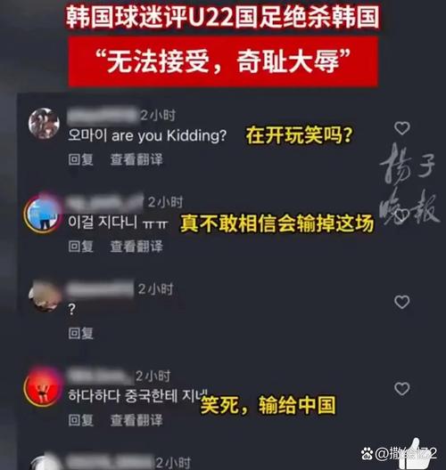 网友侮辱虚拟偶像被判赔10万韩元