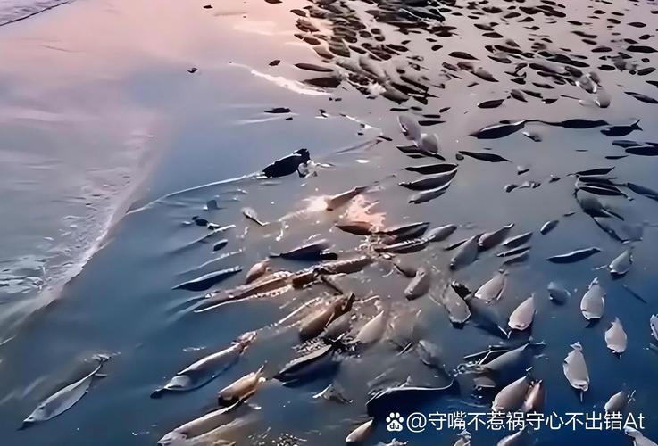 韩国核电站发生泄漏事故