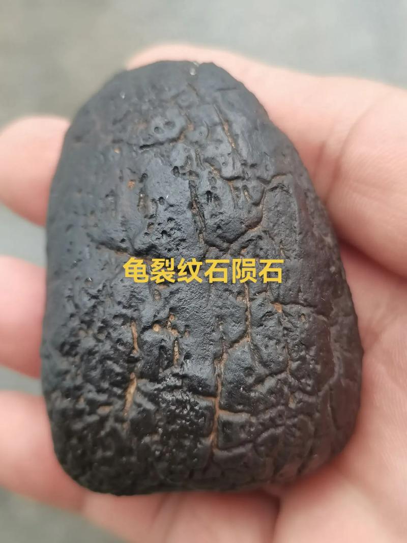 揭秘陨石猎人寻找火流星落地点之谜