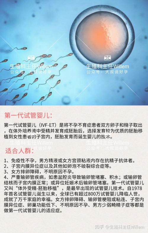 试管婴儿患肾病引发争议，父母要求医院承担全责责任归属问题探讨