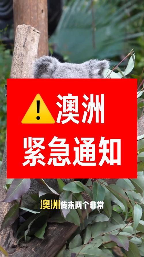 澳大利亚紧急呼叫服务中断造成四人死亡