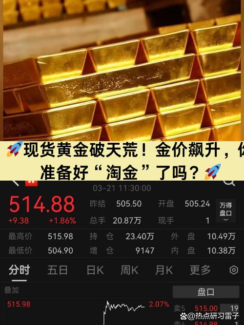 非法淘金人井下生活两年，金价飙升背后的故事