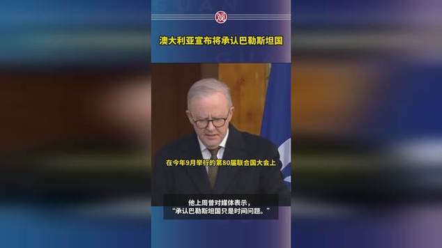 澳加英宣布承认巴勒斯坦国