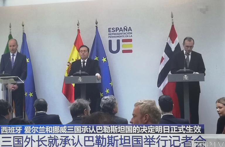 巴外长呼吁更多国家承认巴勒斯坦国