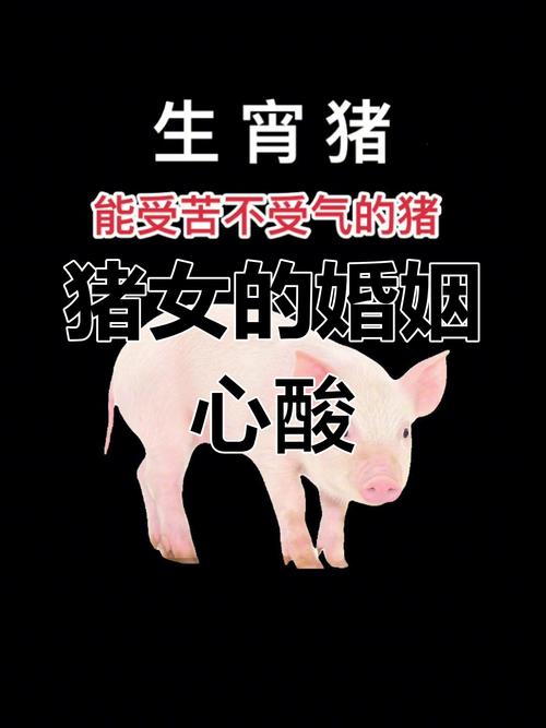 女子花10万云养猪生重病难退钱
